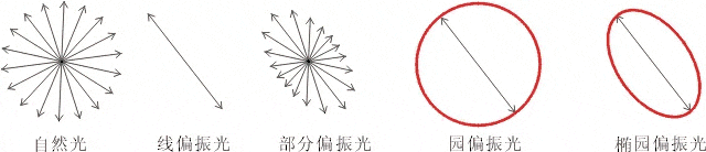 什么是偏振光？偏振光是如何完成檢測(cè)的？