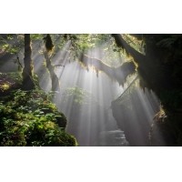 光的干涉、衍射、折射、反射、散射